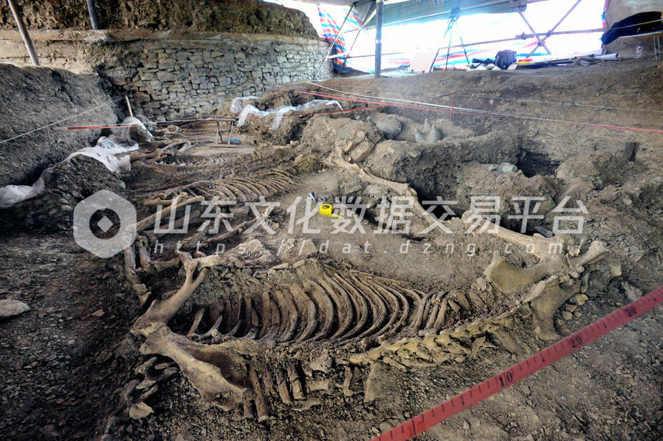 车马坑残存四辆车