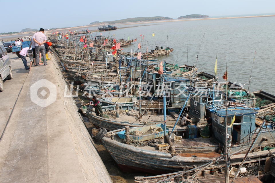 休渔期渔船停在岸边