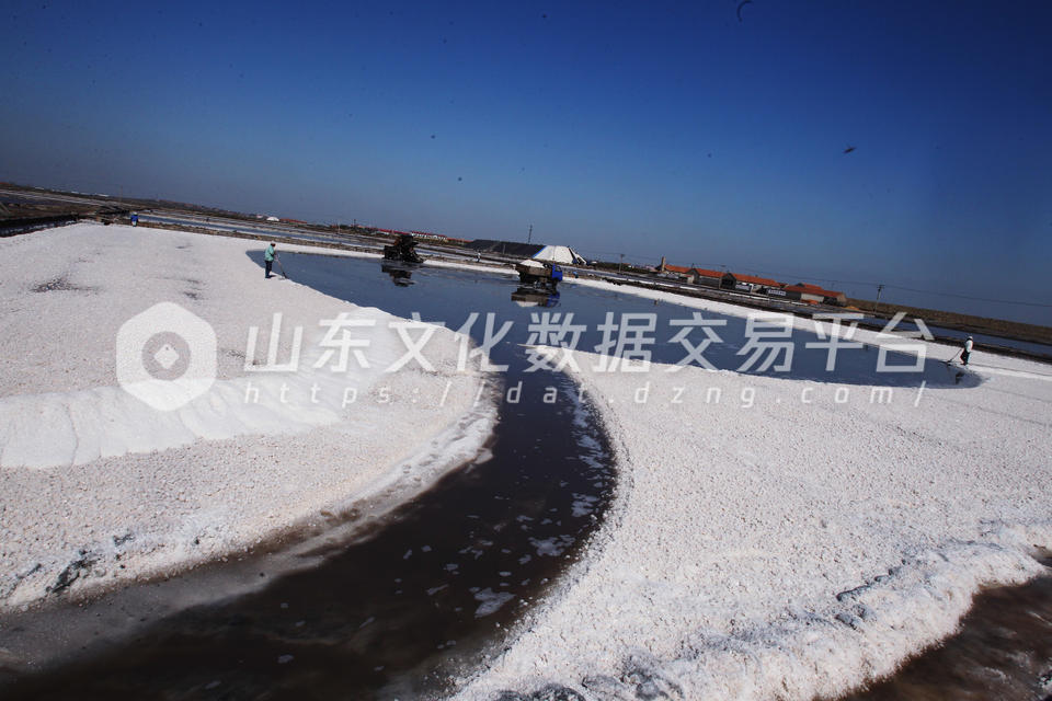 东风盐场第三工区