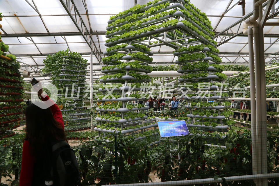 第十五届寿光蔬菜博览会开幕