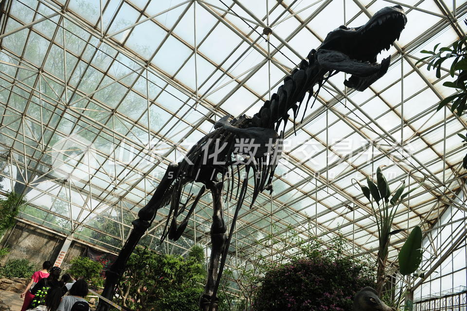 泉城公园巨型恐龙骨架