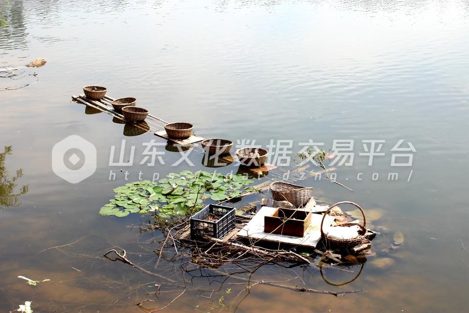 湖边的鸟巢
