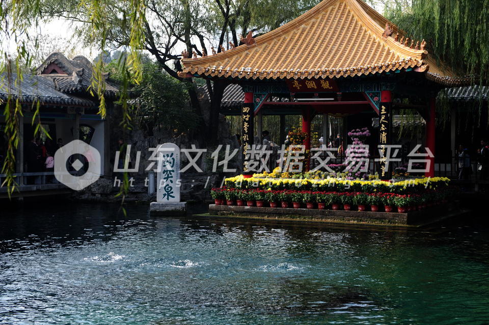 趵突泉跌破警戒水位