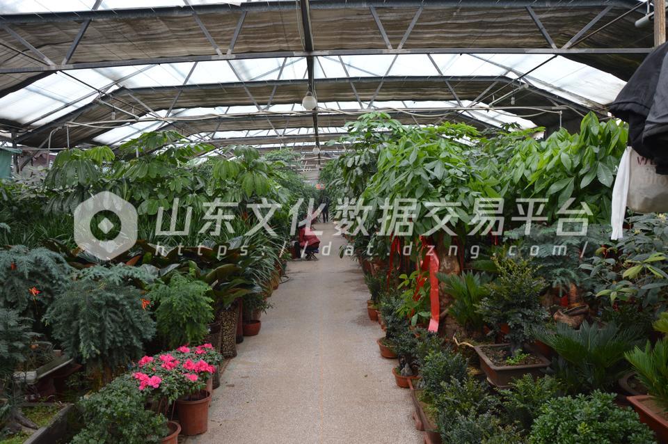 潍坊花卉大世界内