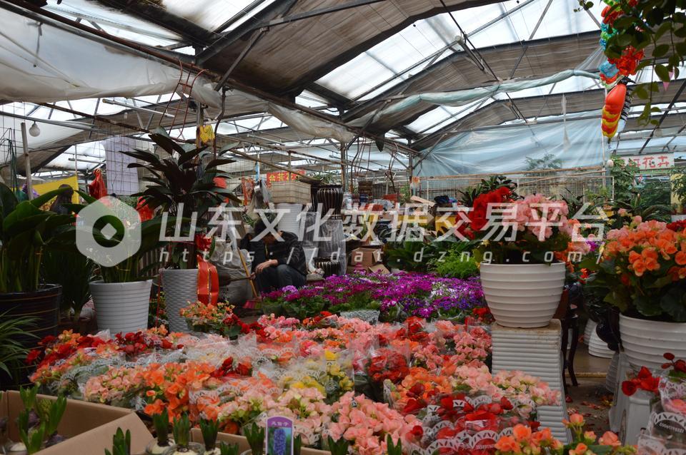 潍坊花卉大世界内
