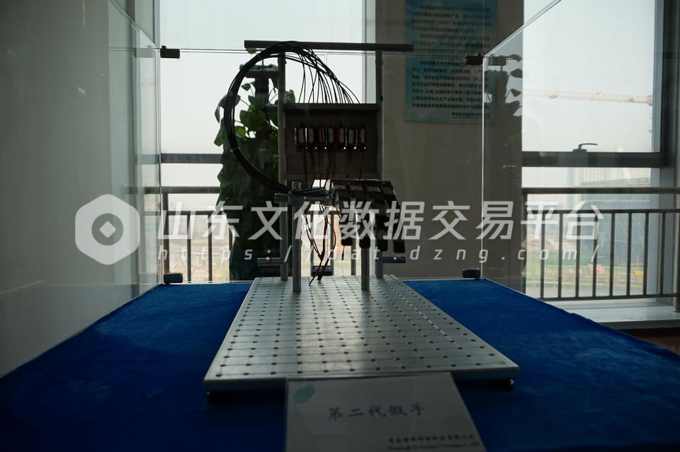 第二代智能假肢