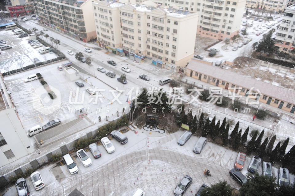 青岛雪景