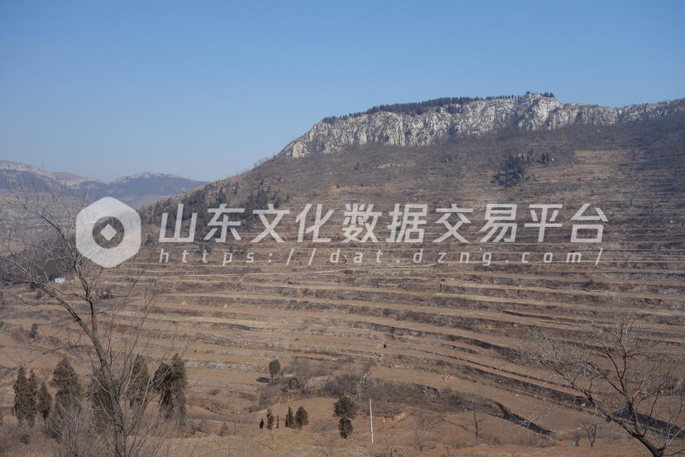 王洞峪山满山的梯田