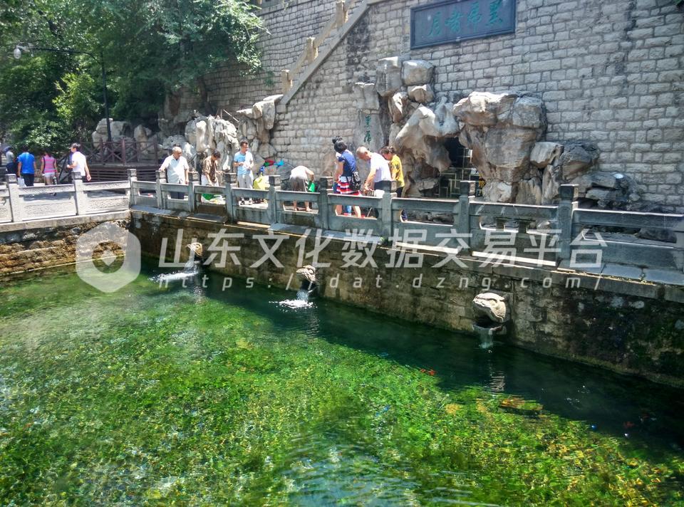 黑虎泉水位急剧下滑