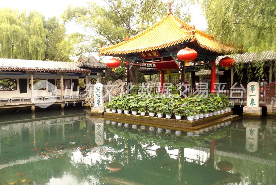 趵突泉换上荷花