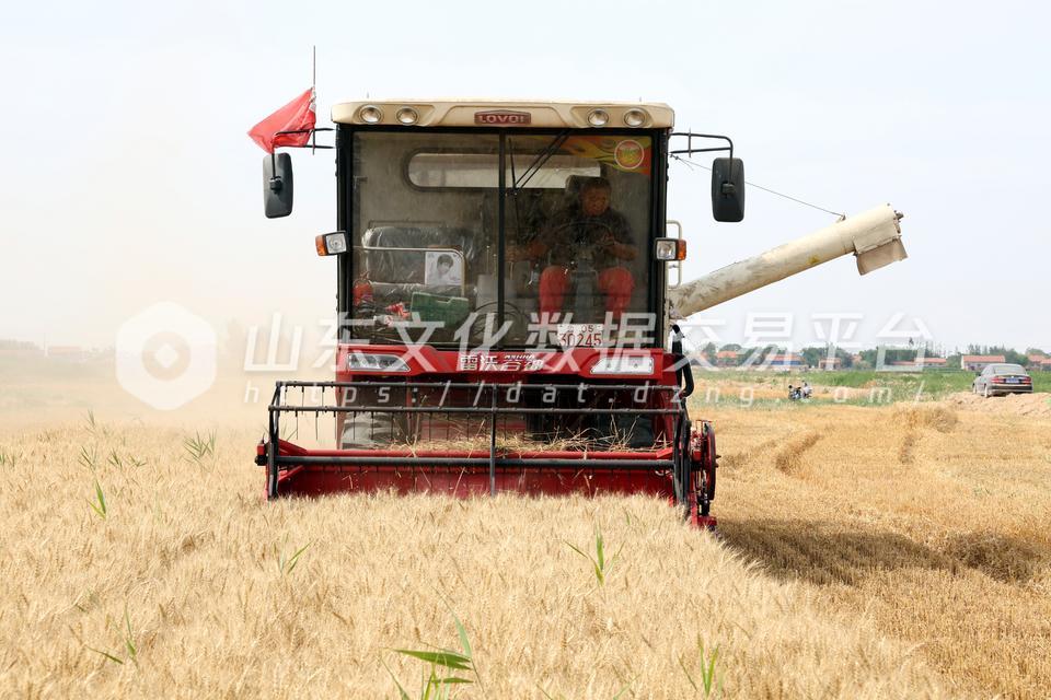 农收现场