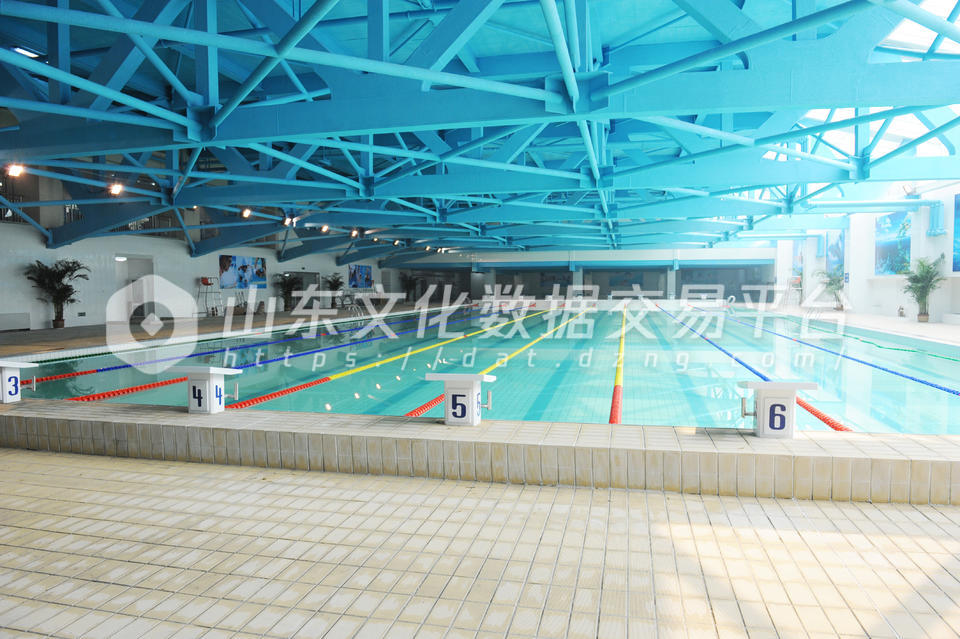 全民健身中心游泳馆