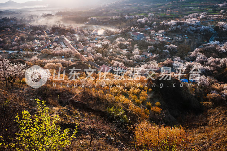杨家山里上沟村景色