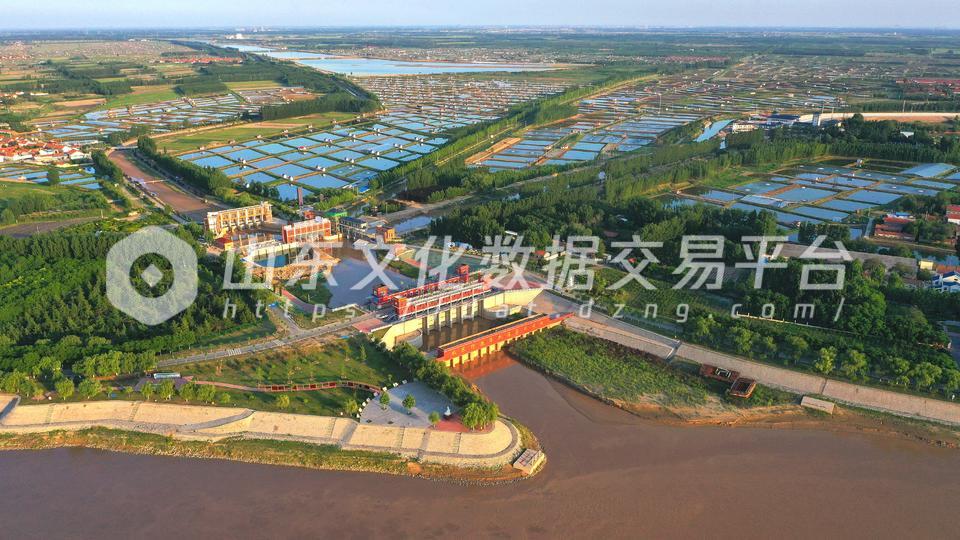 森林公园鸟瞰图