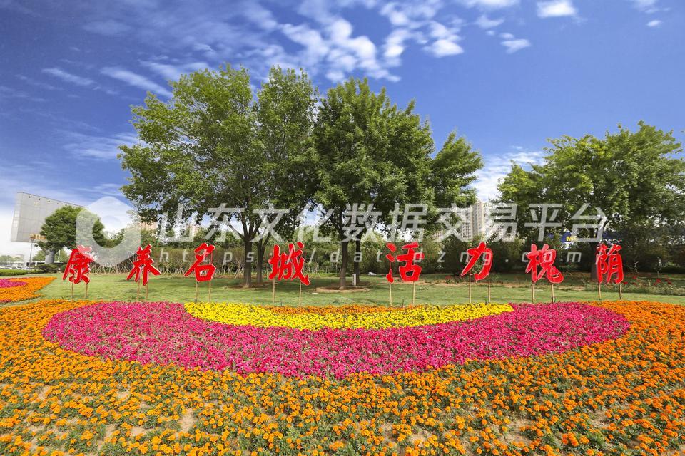 康养名城活力槐荫