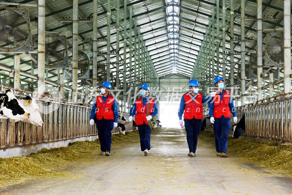 安全检查用电指导