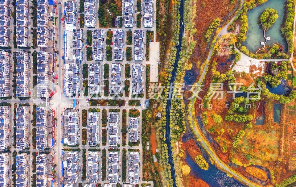 运河河滩变身湿地公园