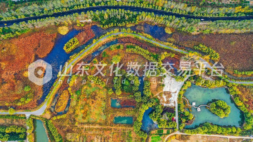 运河河滩变身湿地公园