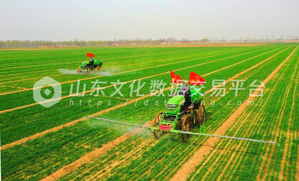 保服务队正在用自走式植保一体机