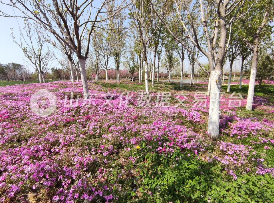 泉城百花园田园综合体