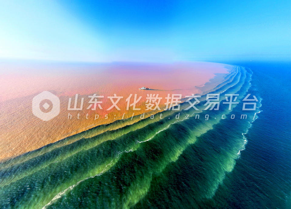 东营市黄河入海口