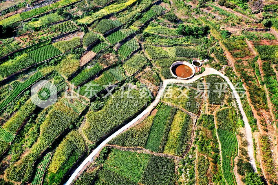 枣庄市多彩梯田