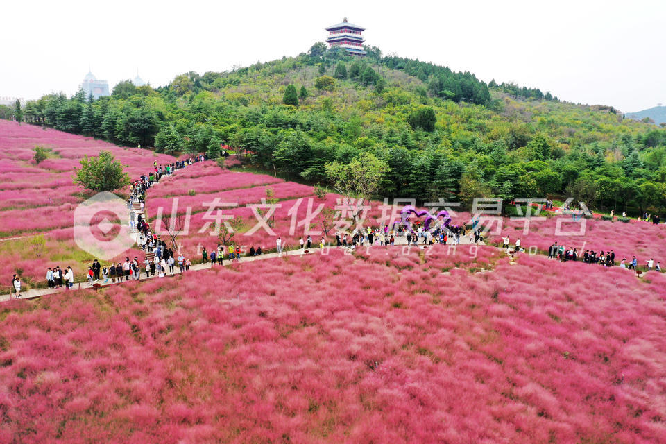 枣庄市龟山公园