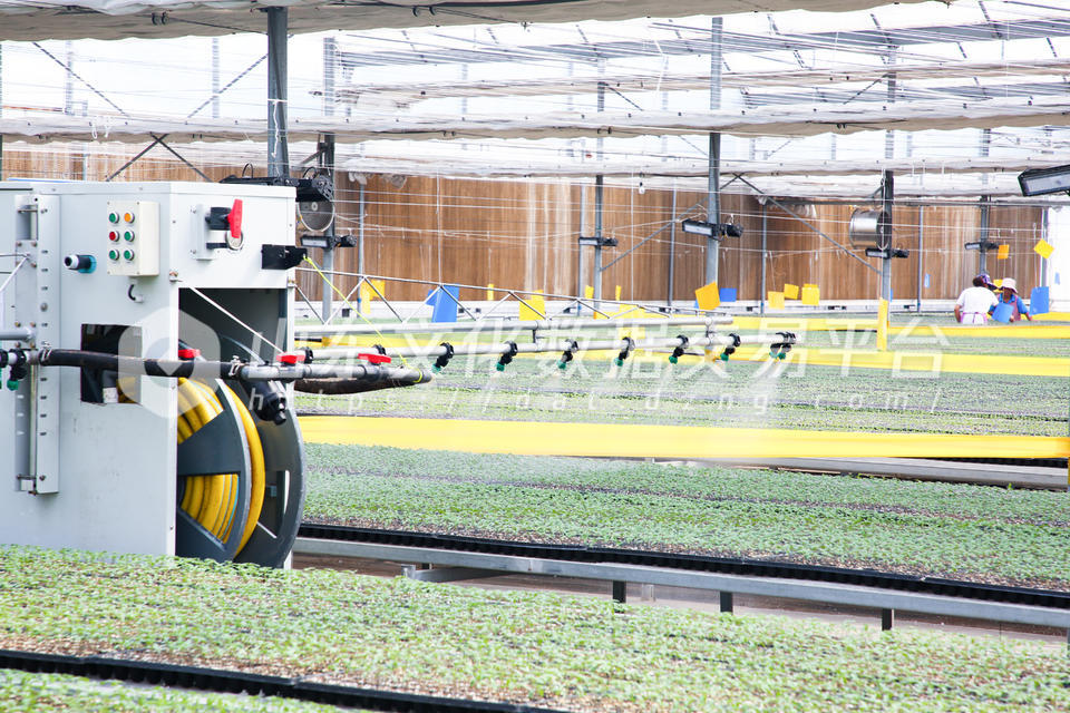 蔬菜种植使用数字化机器