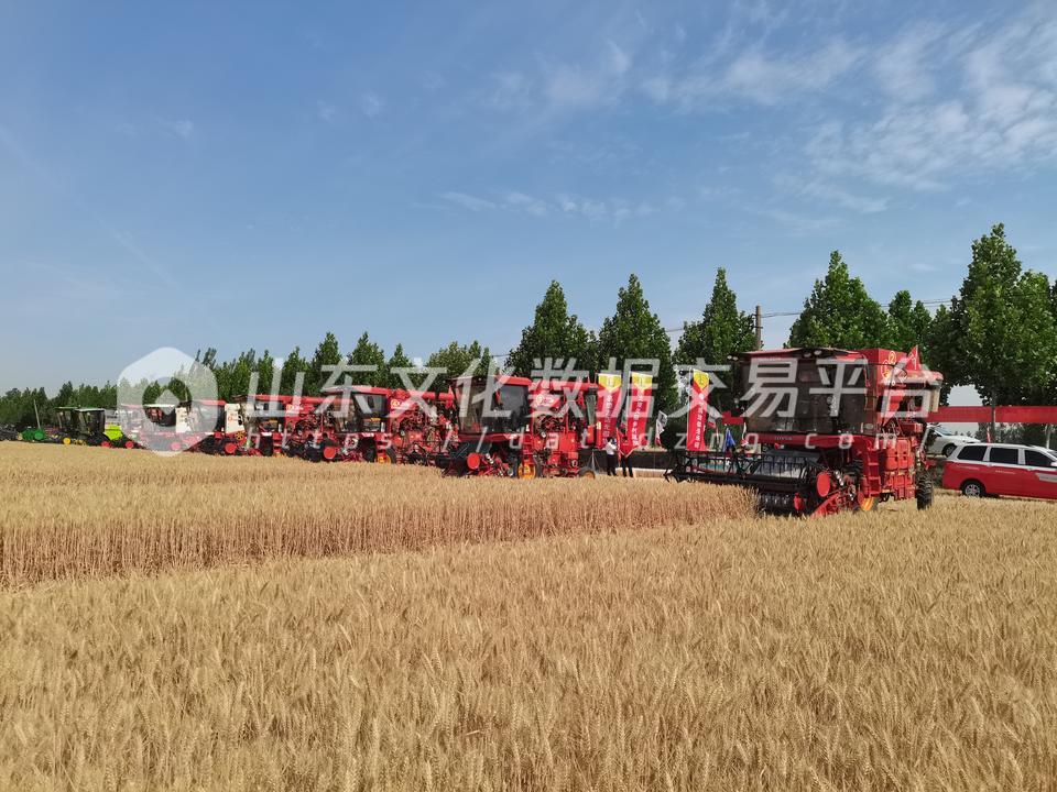 机收小麦大比武