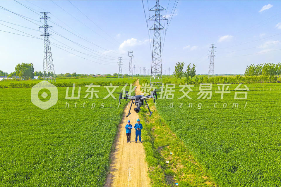 无人机巡检输电线路