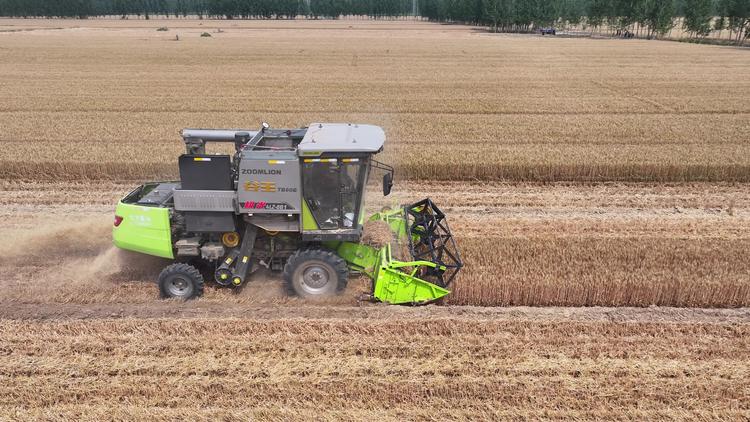 德州收割小麦航拍 德州收割小麦航拍