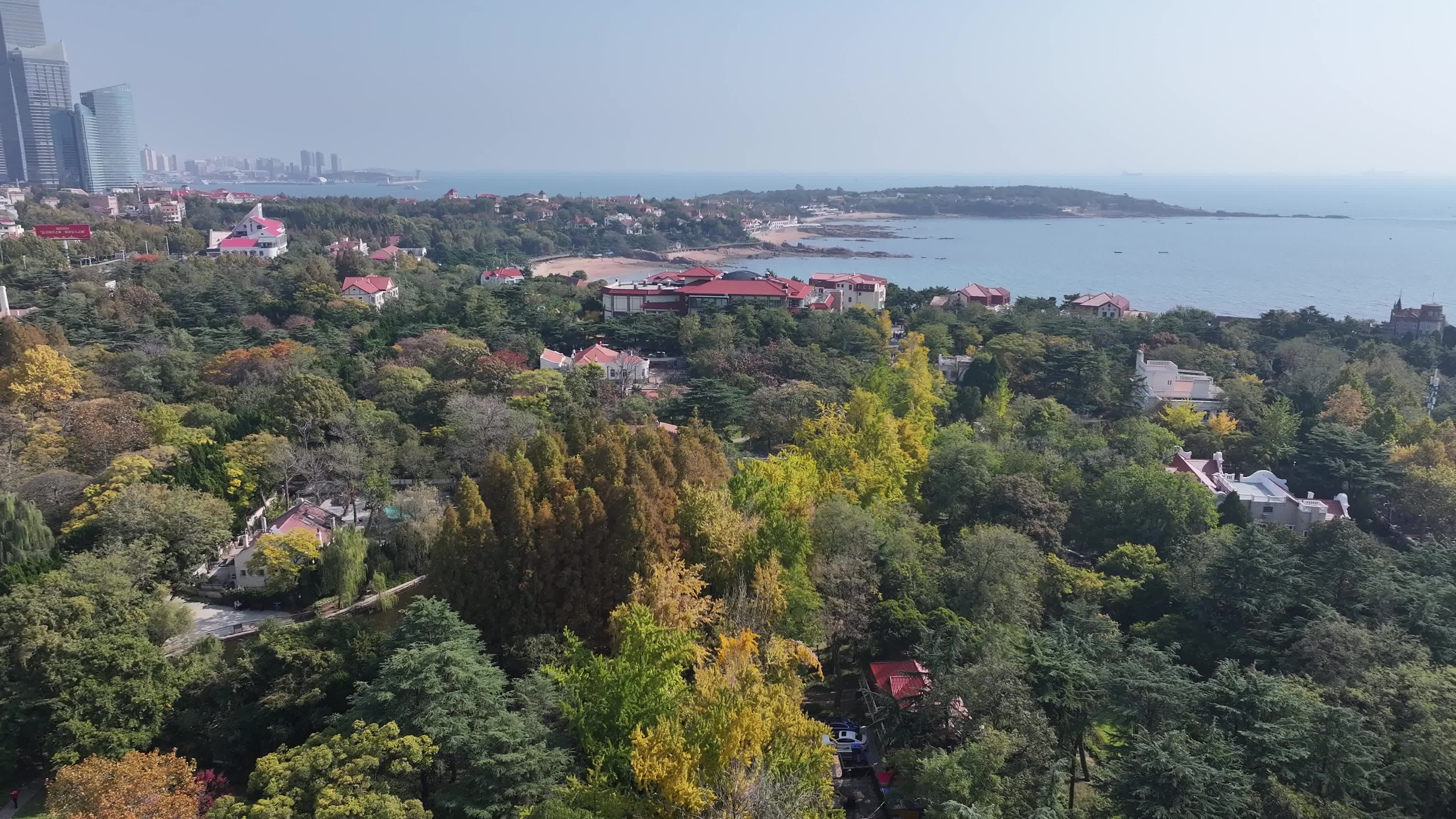 八大关海滨秋景的静谧温柔‌