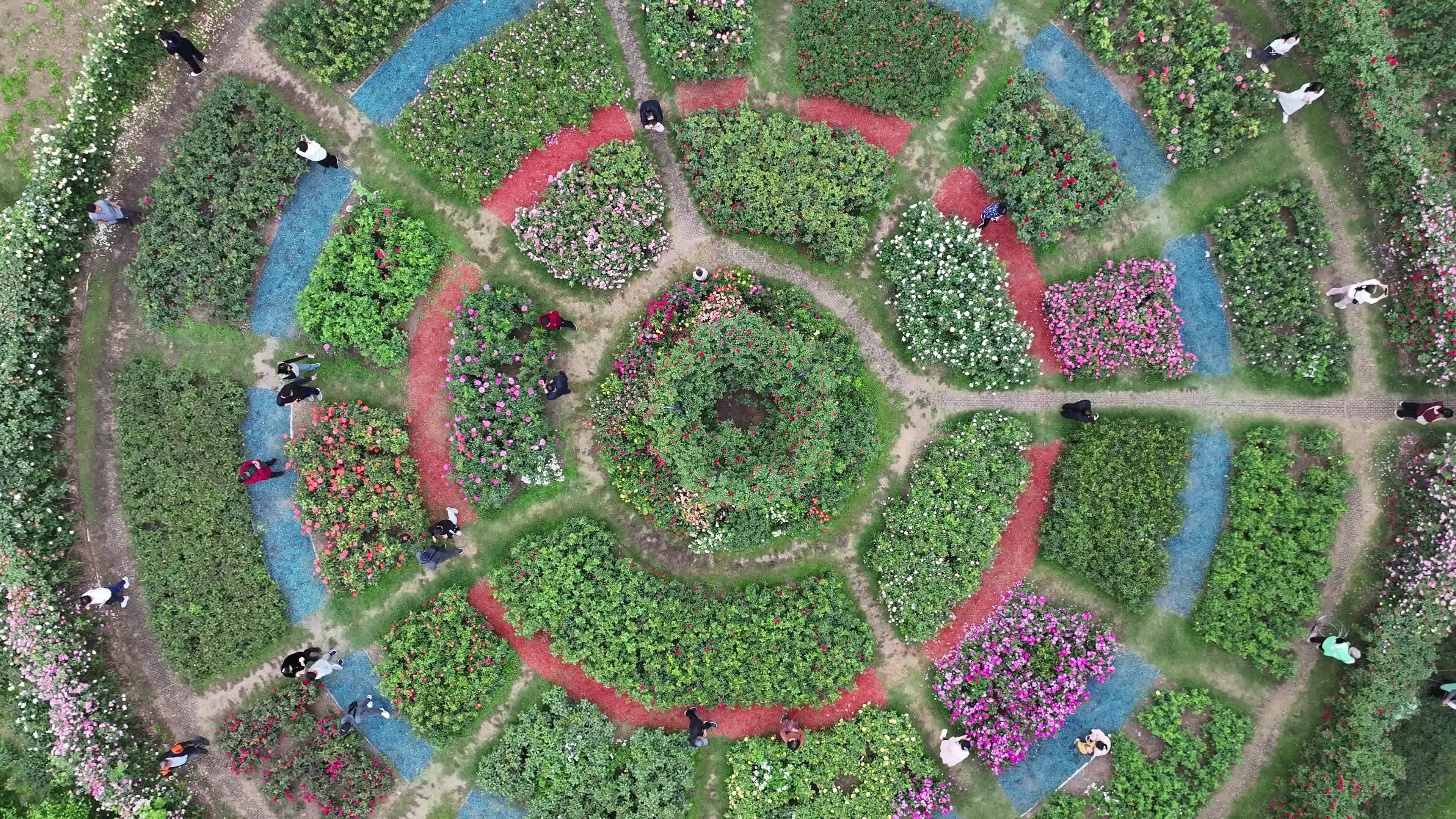 德州“莫奈花园”