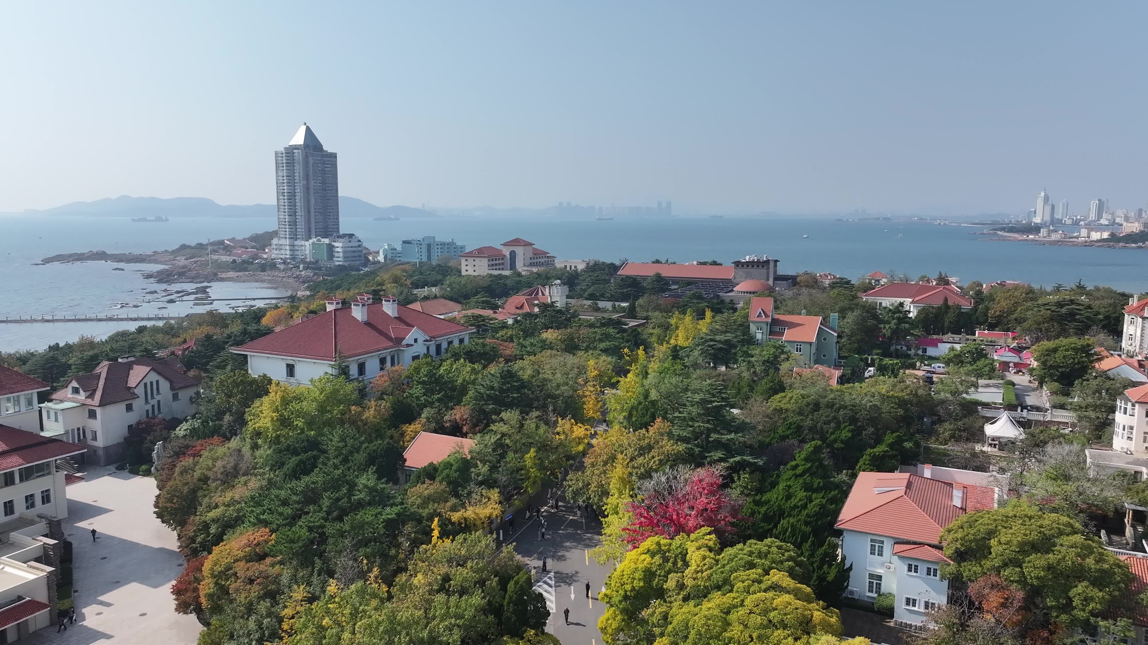 航拍八大关秋天景色