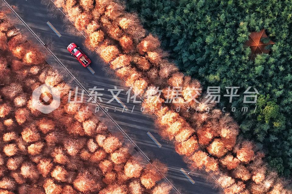 日照海滨国家森林公园