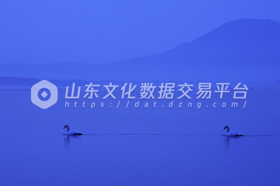 威海风光蓝色天鹅湖