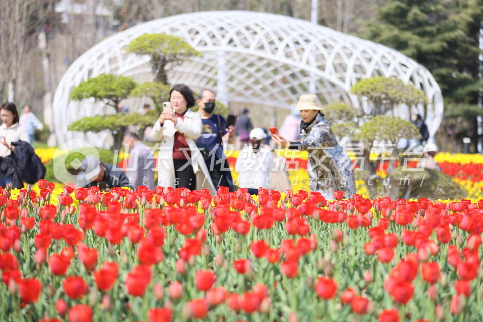莱山区郁美人广场