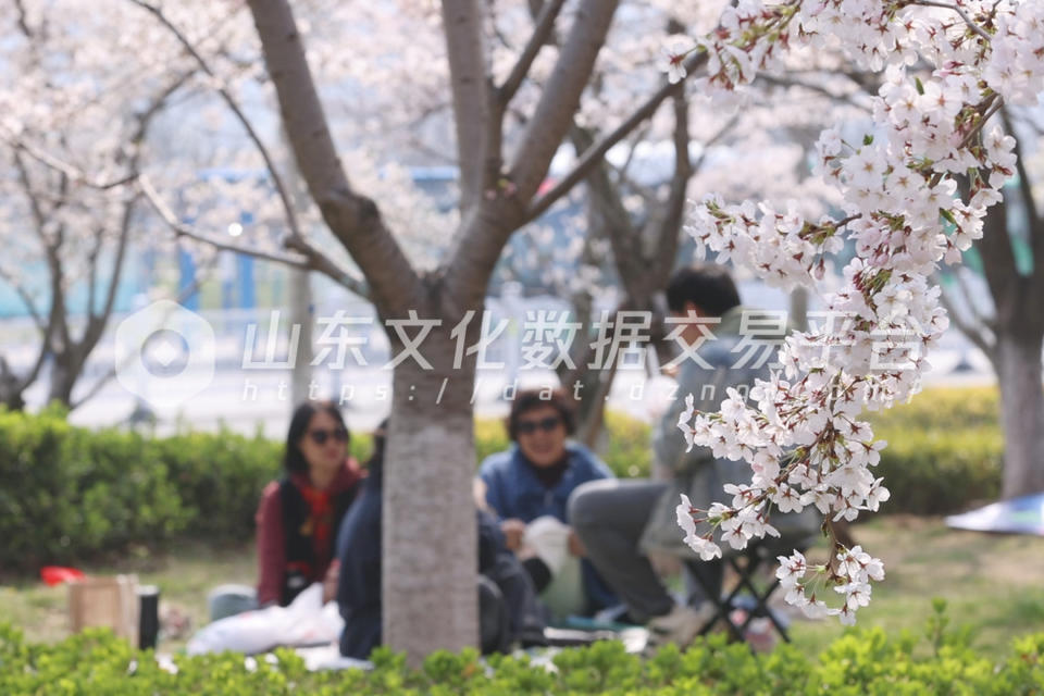烟台龙湖葡醍海湾