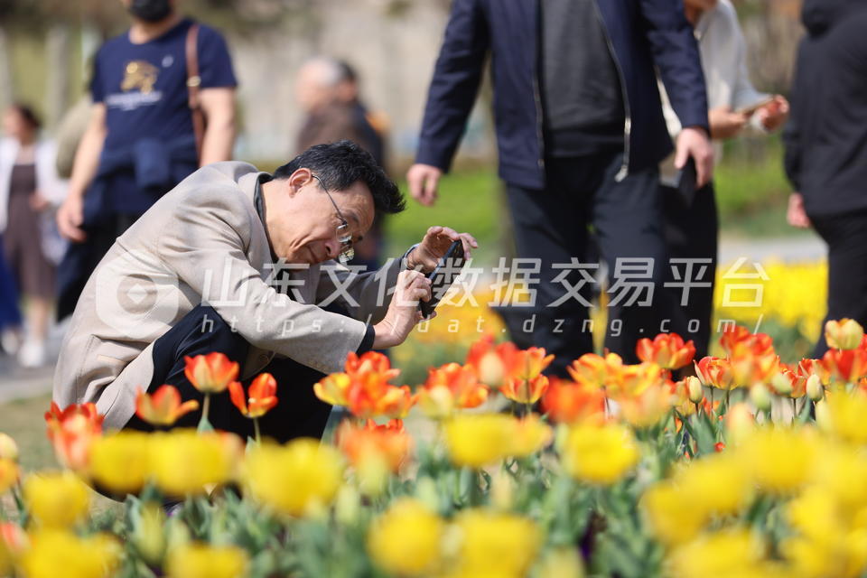 莱山虞美人广场