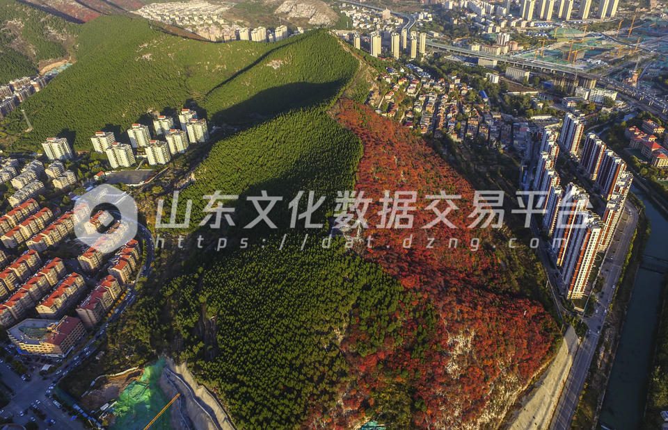 济南蝎子山半青半红