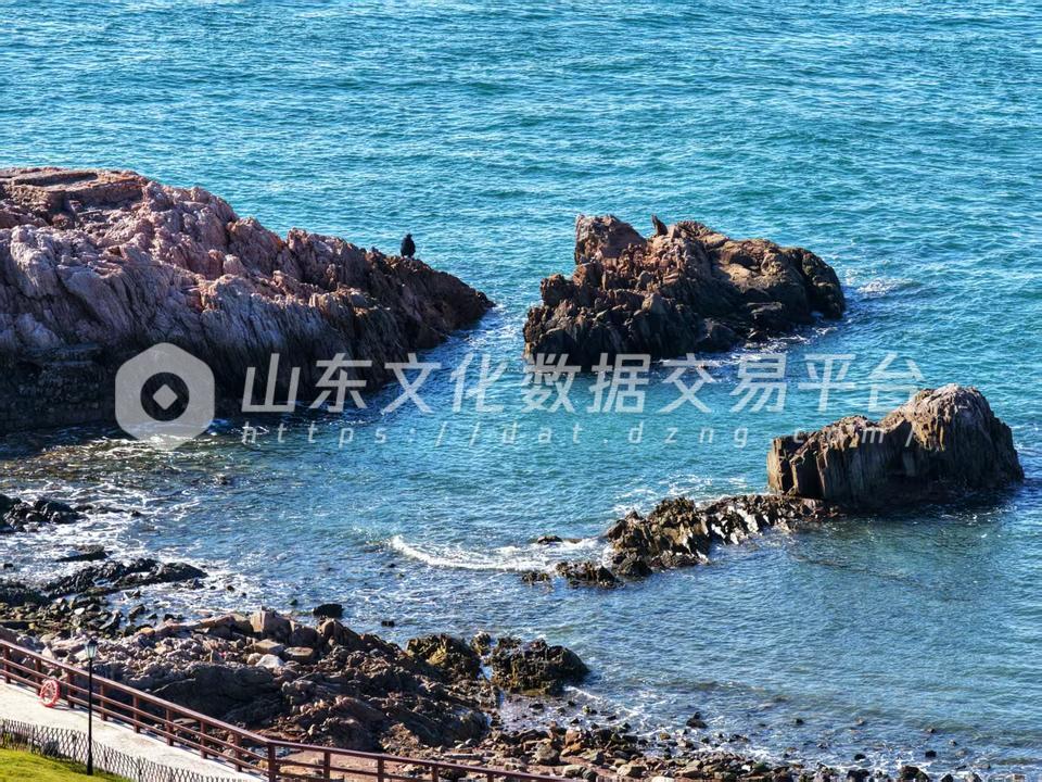 海边垂钓者