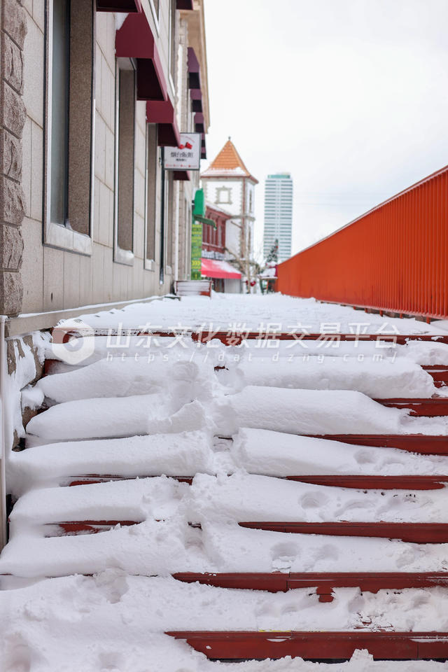 “虹口1920”街区内的台阶上满是积雪。