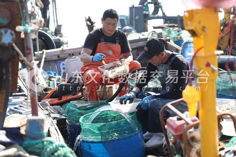 分拣海鲜