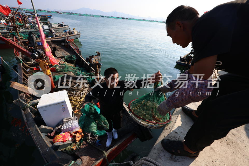捕鱼归来