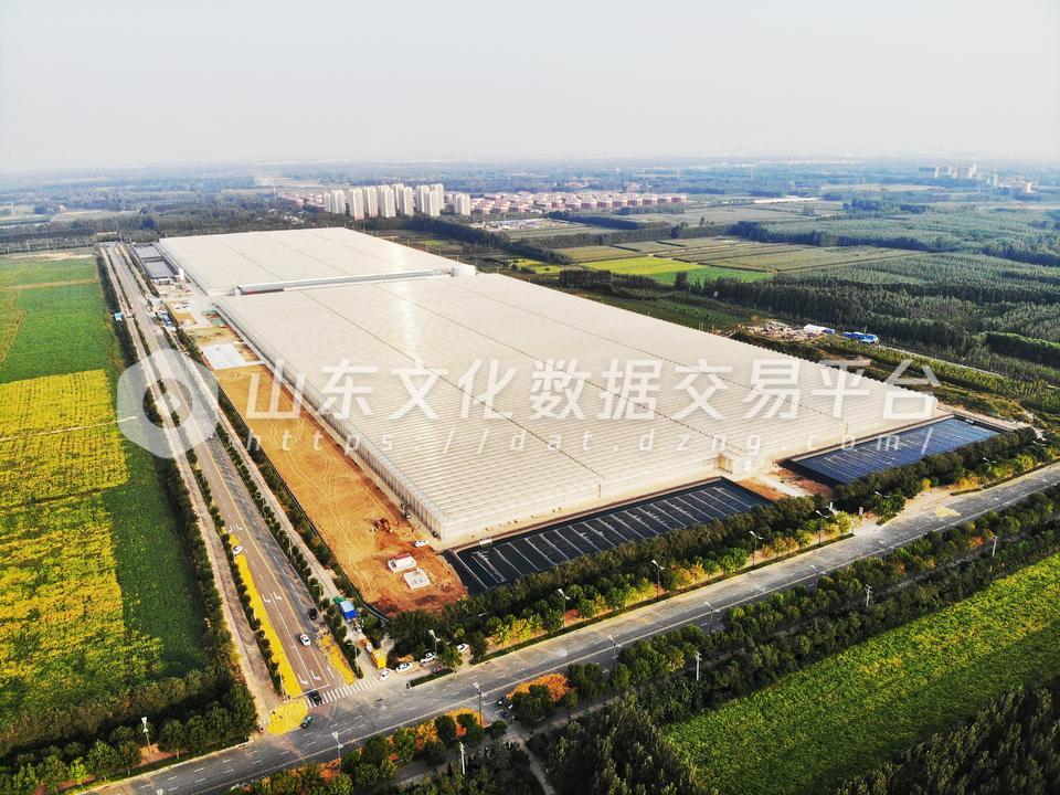  智 “绘” 农业：德州陵城智慧农业产业园航拍