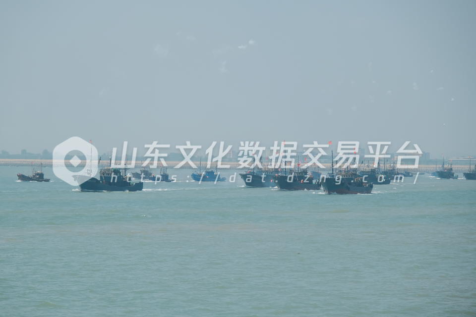 山东省帆船帆板冠军赛