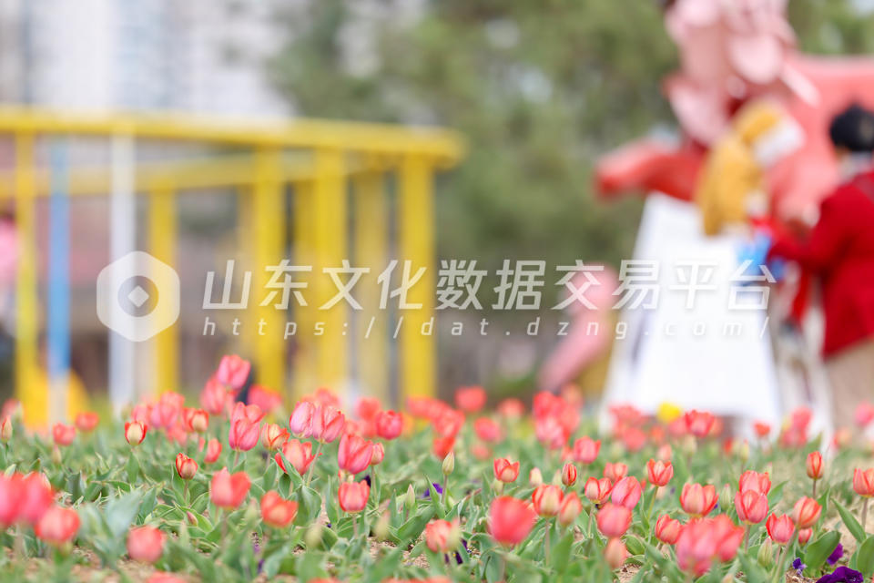 莱山区虞美人广场