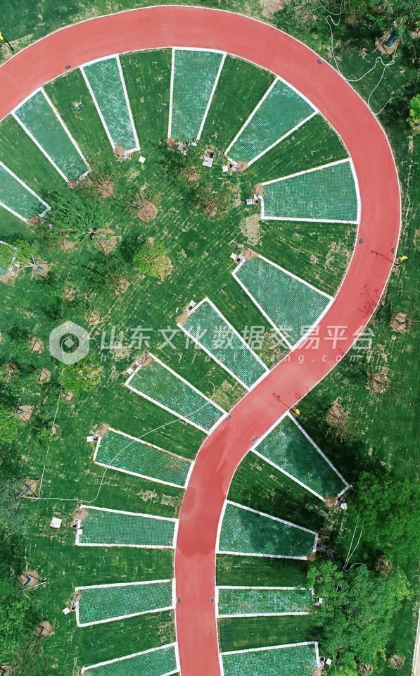 滨州黄河之星生态园