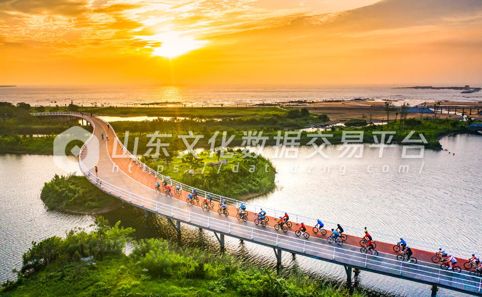 阳光骑行