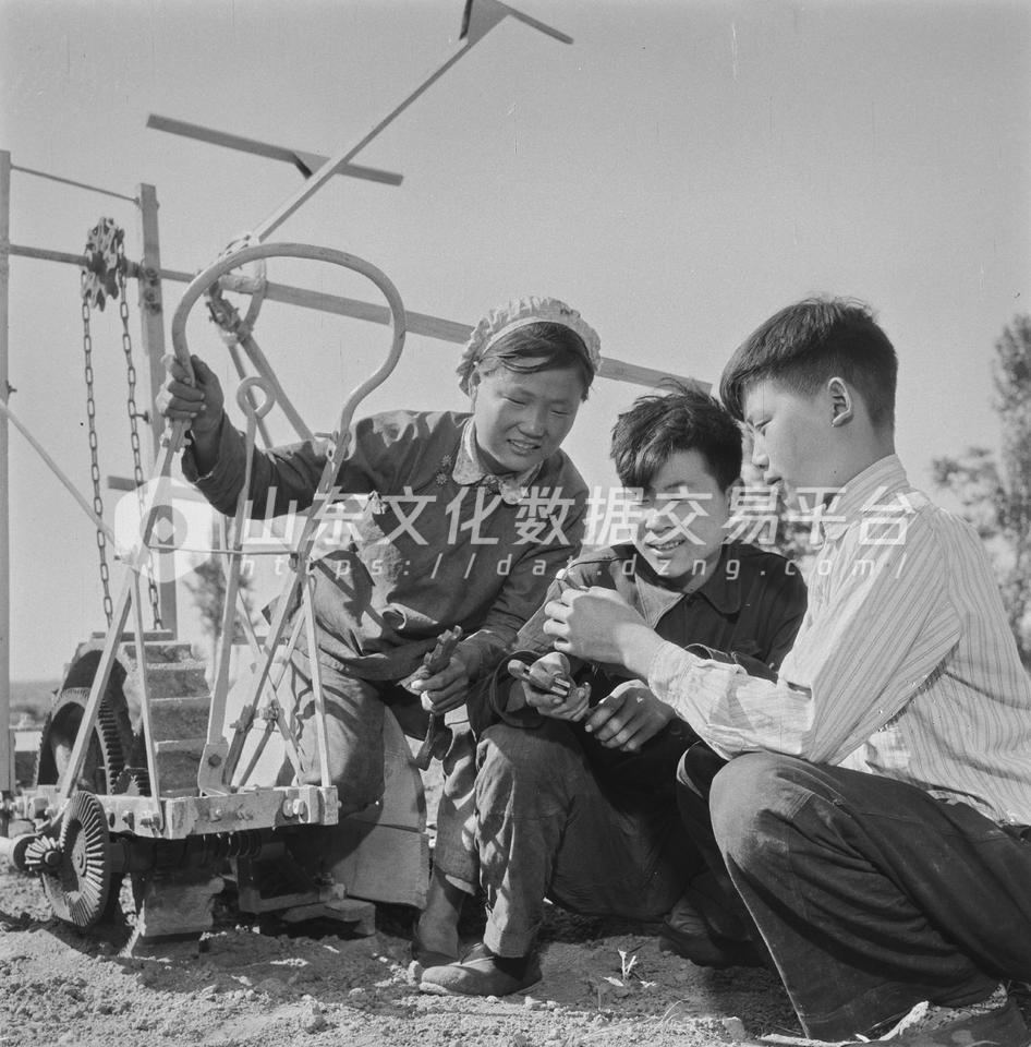 枣庄市社办装配工人。